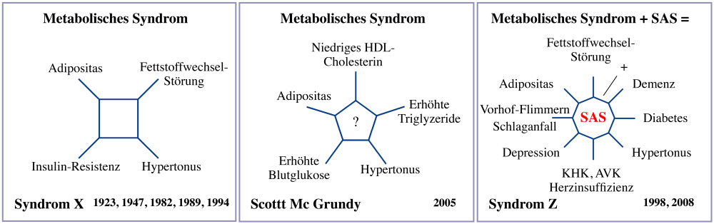 Metabosyndrom_23-01-2012